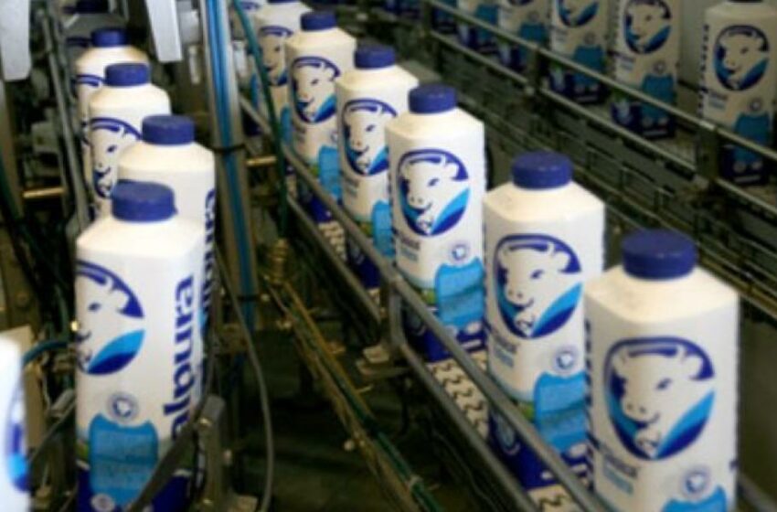 Alpura ve resiliencia en consumo de lácteos – El Economista