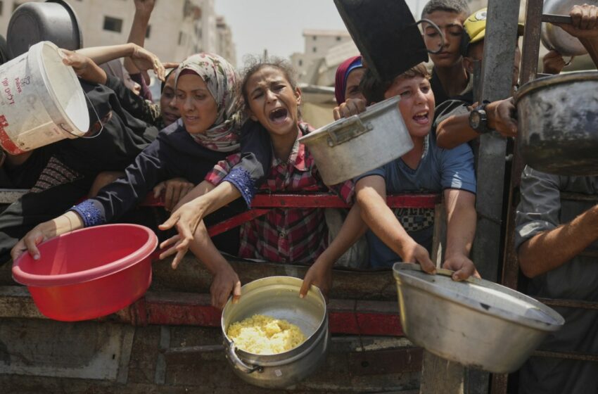 Declarar la hambruna en Gaza no significa alivio para la población
