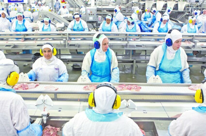  Brasileña JBS compra planta en EU para evitar arancel de 50% – El Economista