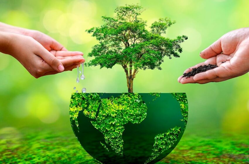  Recursos naturales: el activo que sostiene nuestra economía – El Financiero