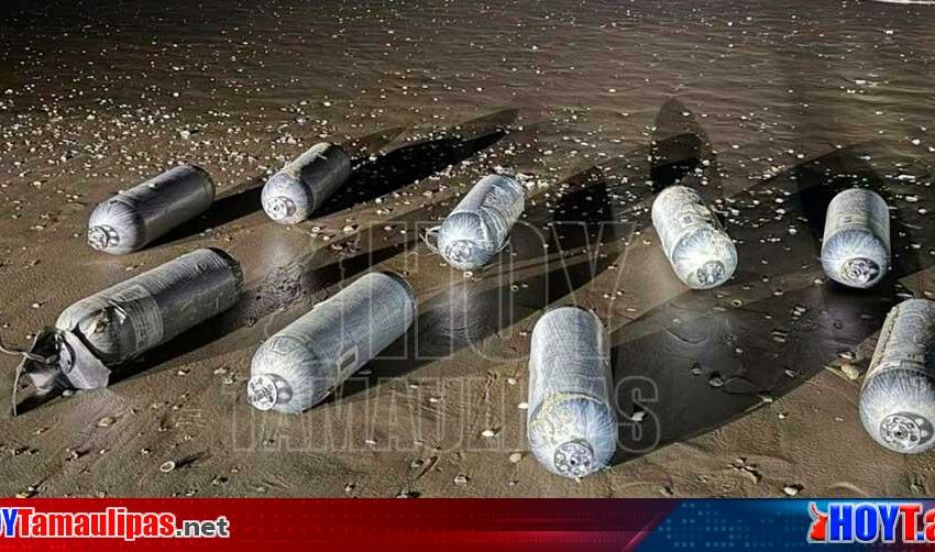  Estudian impacto que SpaceX pudiera tener en la produccion de especies en Playa Bagdad