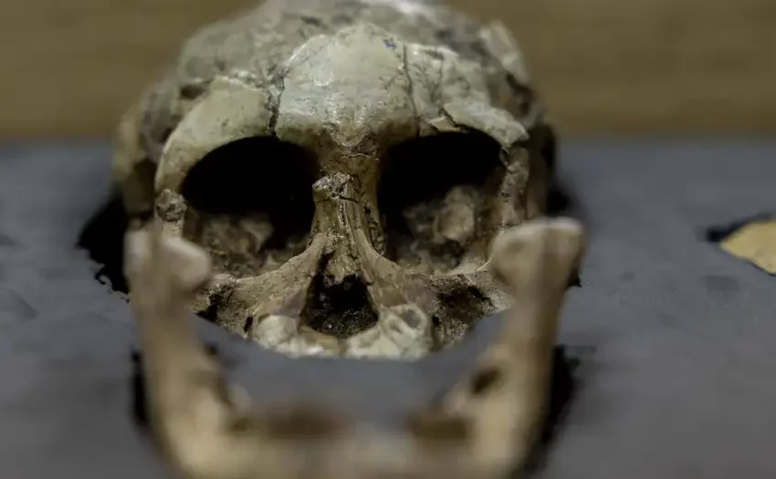 Hallazgo en Etiopía desafía teorías sobre la evolución humana