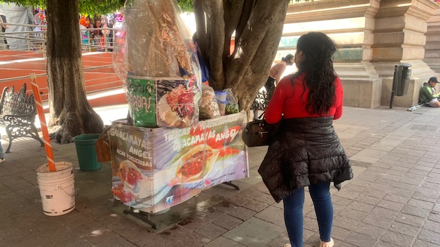  Vigila gobierno municipal, los negocios de comida para tratar de evitar enfermedades