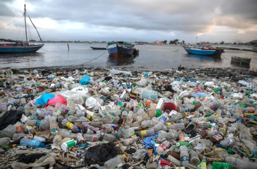 La contaminación por plásticos, un amor tóxico aún sin resolver | América Futura – EL PAÍS