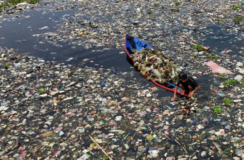 Un estudio global advirtió sobre la contaminación plástica en ríos y sus consecuencias ambientales