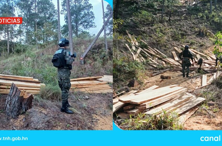 FF. AA. decomisan madera y equipo para minería ilegal en Campamento, Olancho