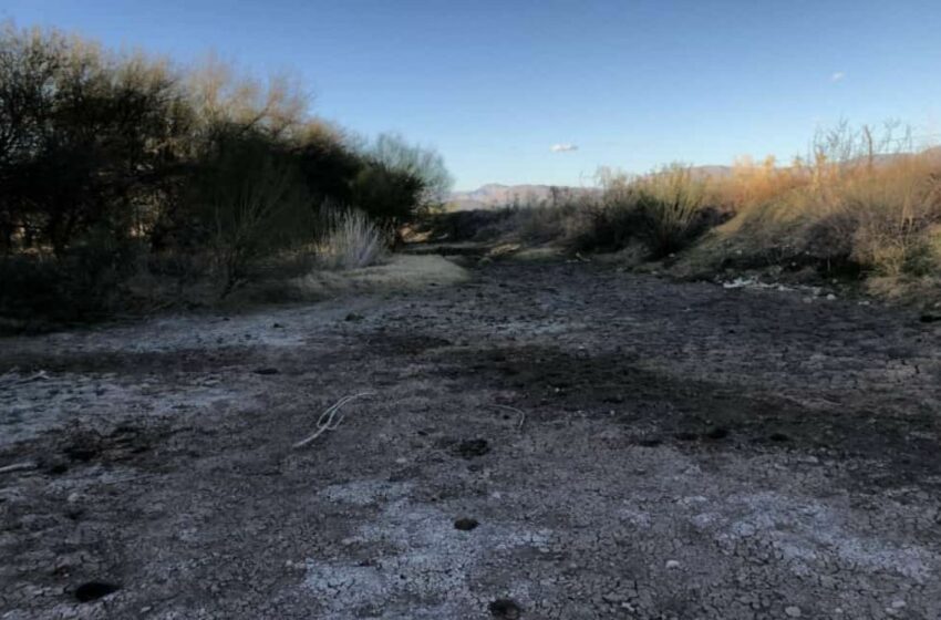 Semarnat, Profepa y Conagua obstaculizan justicia a víctimas de Río Sonora | Aristegui Noticias