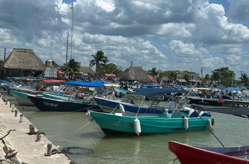 Exigen vigilancia en Holbox ante repunte de pesca ilegal – Quintana Roo Hoy