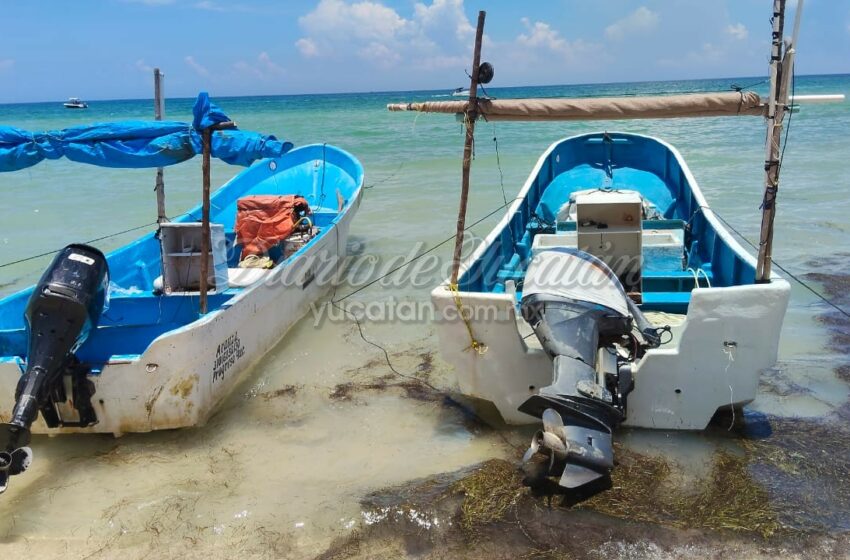  Pescadores de Progreso enfrentan baja en ventas por temor a la marea roja – Diario de Yucatán