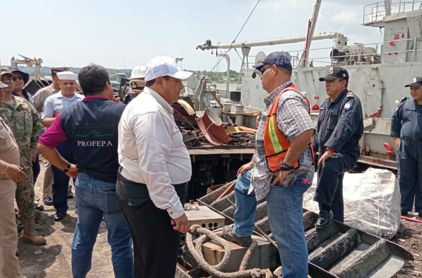  Sistema Arrecifal Artificial de Tamaulipas; así van los avances – Milenio