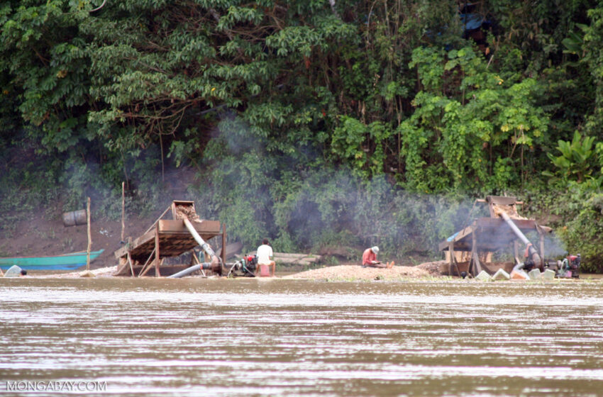  Huella letal por mercurio en la Amazonía peruana – Mongabay Latam