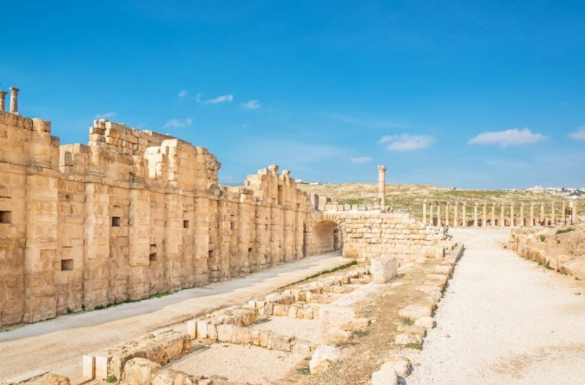 Ya se sabe qué patógeno causó la primera pandemia hace 1.500 años