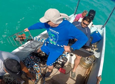 Marea roja paraliza turismo y pesca – Sol Yucatán