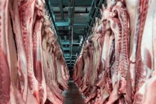 Activan mecanismo laboral contra Alimentos Grole – El Diario de Chihuahua
