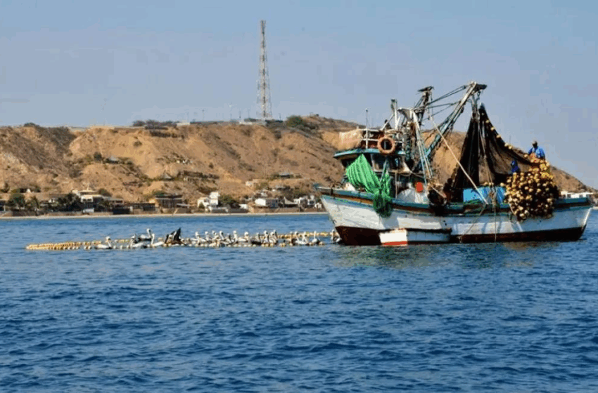  Pesca ilegal en Perú, problema tan grave como la minería ilegal – Nodal.am