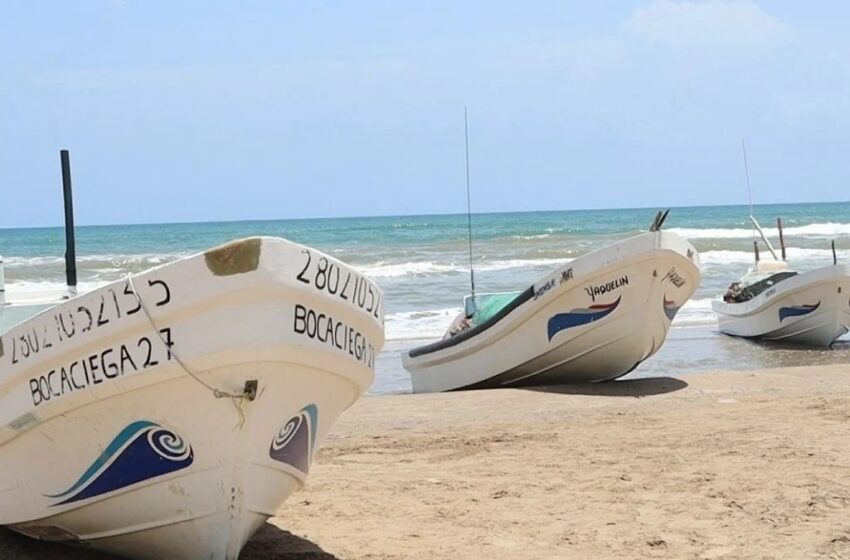  Pesca camarón Matamoros bajo investigación por denuncias – Vox Populi Noticias