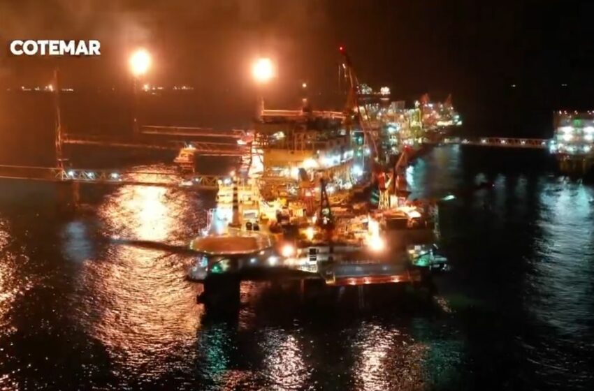 Profepa reconoce a Cotemar por la protección al medio ambiente – La Jornada