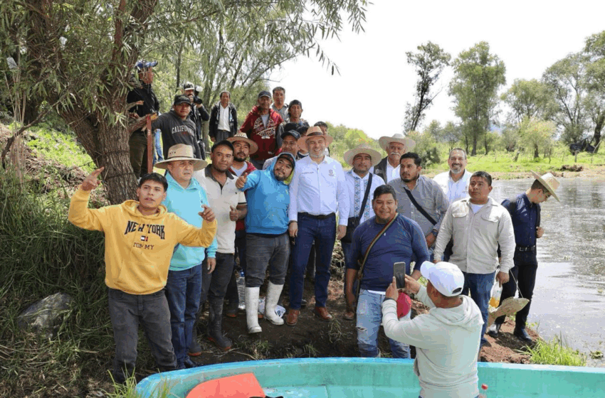 Siembran 15 mil crías de pescado blanco en Pátzcuaro, Michoacán – La Jornada