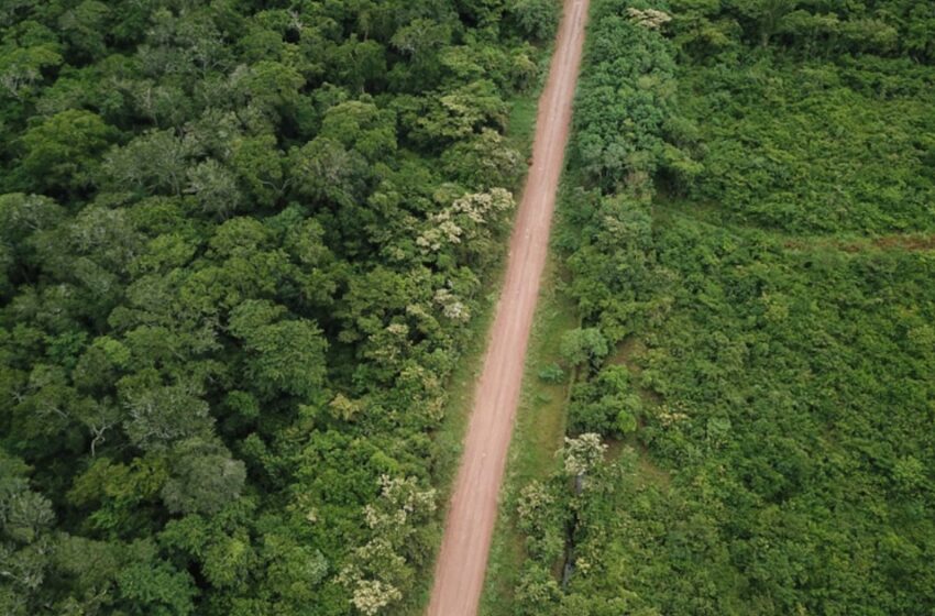 Comunidad indígena Shawi dice “no” a construcción de carretera en Loreto – Infobae