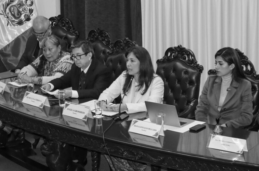 NUEVA LEY MAPE DEBE FRENAR A LA MINERÍA ILEGAL – sin rodeos