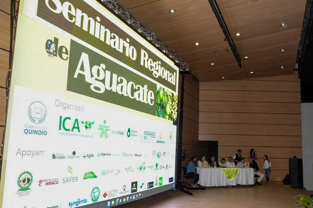 Aguacate y polinizadores: una alianza sostenible que fortalece al Quindío