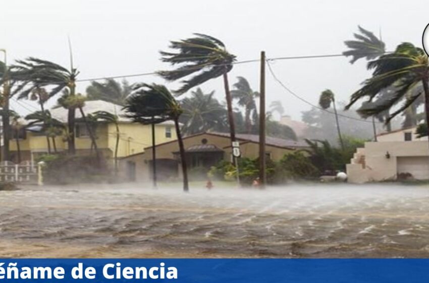 'Mario' vuelve a fortalecerse a tormenta tropical; activas alertas por lluvias intensas y caída …