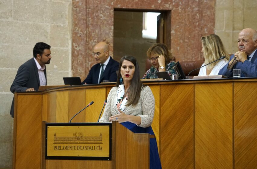  Araceli Cabello: “Gracias el Gobierno de Juanma Moreno, Andalucía contará con la primera …