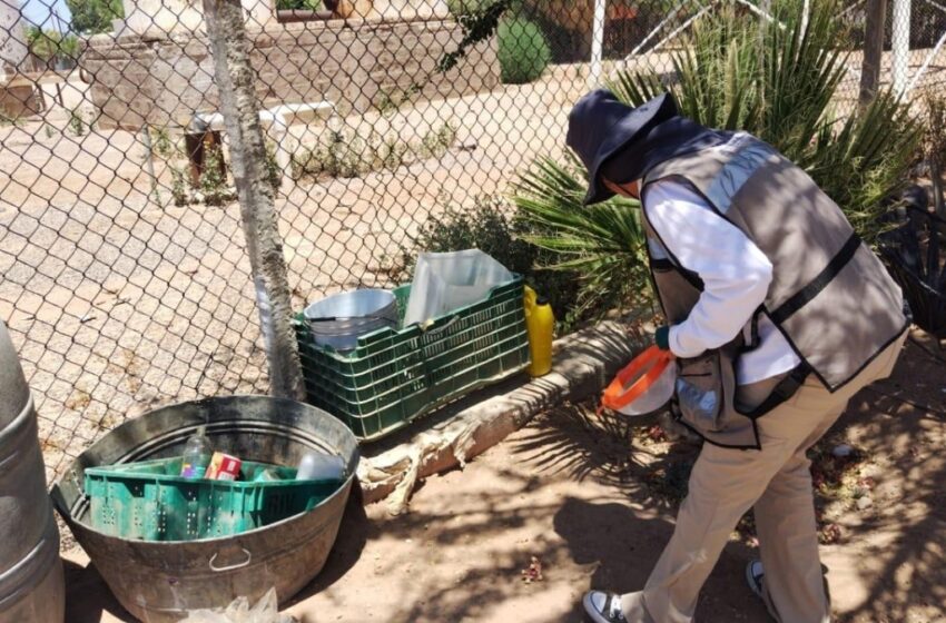  No se registra aumento de casos de dengue tras lluvias en Sonora