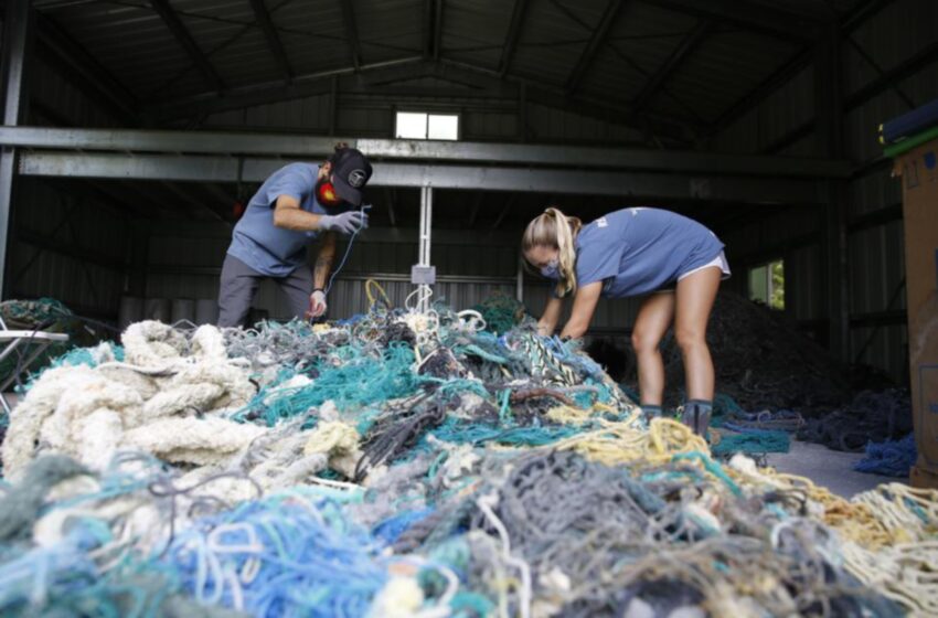  Amenazas abandonadas: las redes fantasma afectan los ecosistemas marinos – Diario de Yucatán