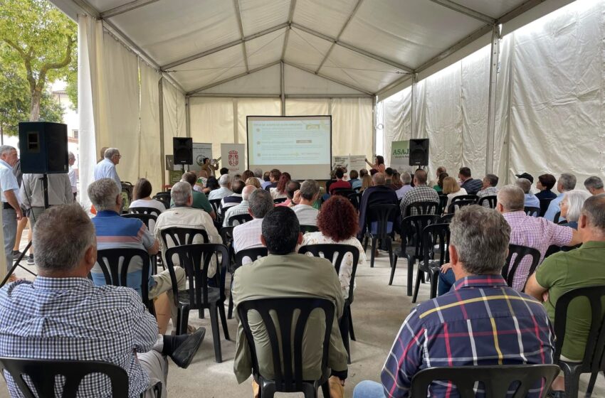 Formación, innovación y retos del sector olivarero protagonizan las jornadas técnicas de …