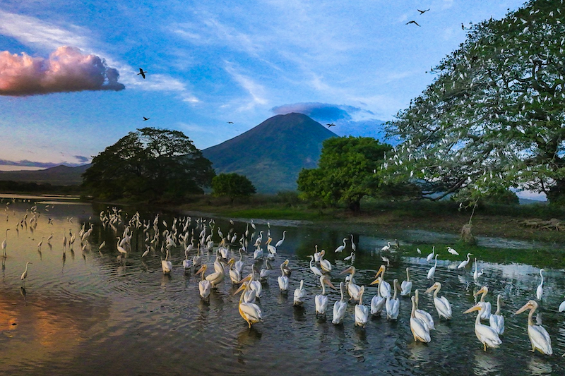  Medio Ambiente advierte alta probabilidad de anegamientos en laguna El Jocotal y cuenca …