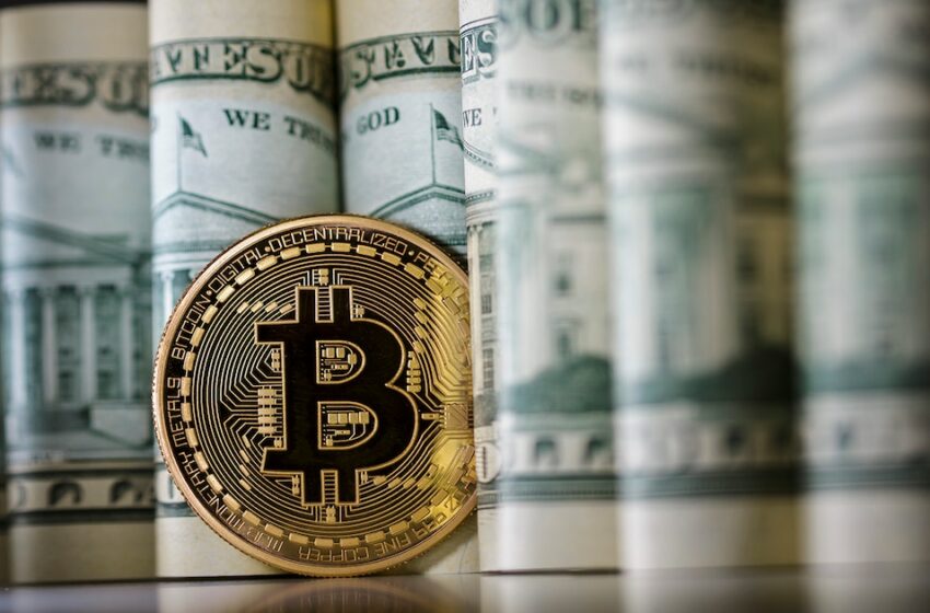Dólar cripto: después de conocerse los resultados, la cotización que nunca cierra se ubicó en torno a los $1.430