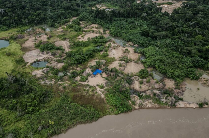 La Amazonia bajo asedio: sequías, lluvias ausentes y la mano de la deforestación
