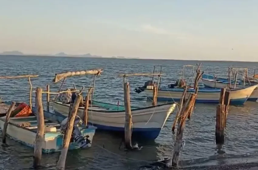  Este viernes inicia oficialmente la temporada de pesca: dirigente pesquero – Viva la Noticia