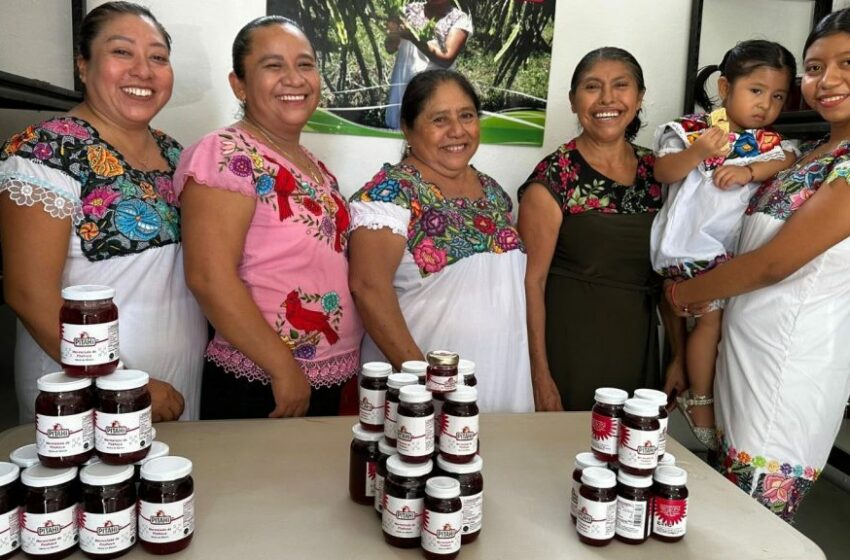 Mujeres mayas de Chumpón reactivan producción de mermelada artesanal de pitahaya