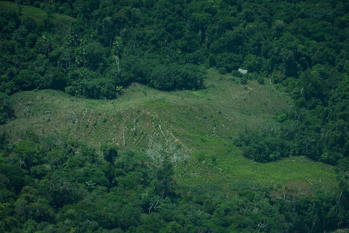 120 ambientalistas fueron asesinados o desaparecieron en Latinoamérica el año pasado …