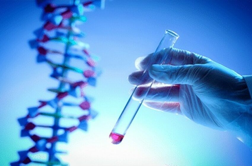  Hacia la regulación de la vida nacida en laboratorio
