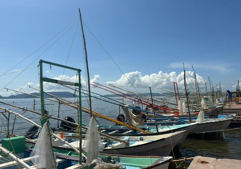  Capturas regulares, reportan pescadores en primer día de pesca en Ahome | Meganoticias