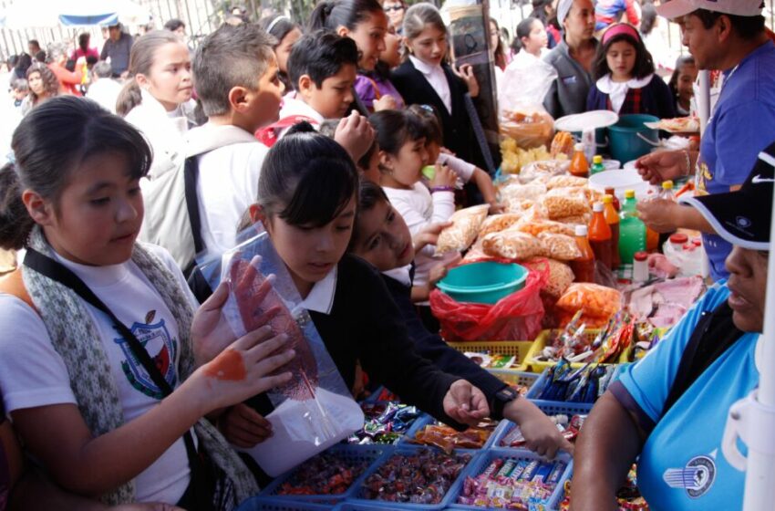 Nutrióloga de la UAS recomienda incluir tres grupos de alimentos en la lonchera escolar