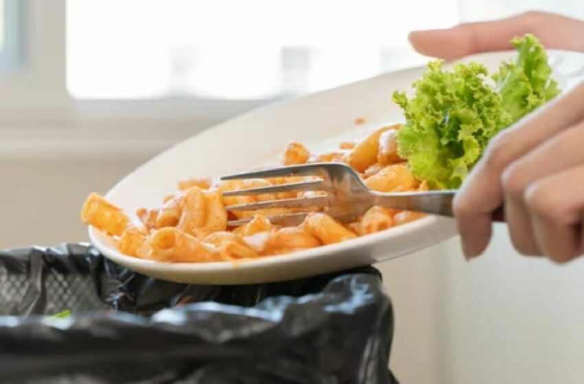  El mundo desperdicia mil millones de platos de comida al día mientras millones pasan hambre