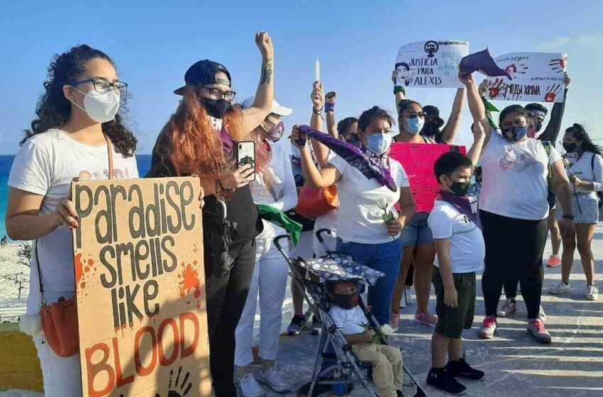Matan delfines en Tamaulipas para usarlos como carnada en pesca de tiburón