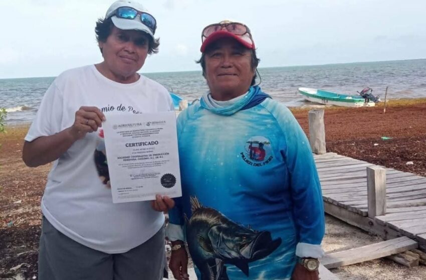  Cooperativa pesquera Cozumel mantiene sostenibilidad la captura de langosta, recibió certificación