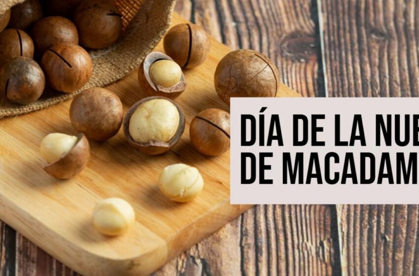  Día de la Nuez de Macadamia: ¿Qué beneficios tiene y cuáles son sus propiedades?