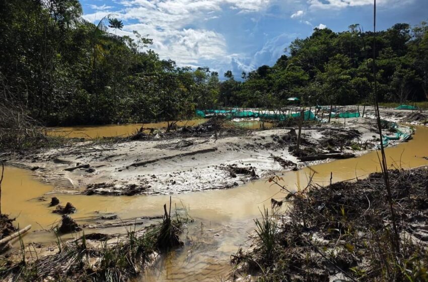  Ejército asestó golpe a la minería ilegal en Curillo y Solita, Caquetá – W Radio