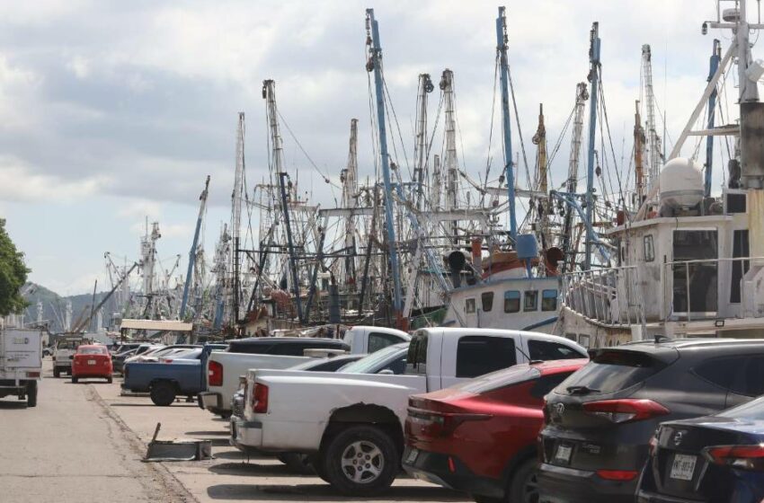 Reparan a marchas forzadas flota camaronera de Mazatlán – Periódico Noroeste