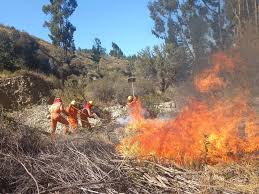 Medio Ambiente reporta disminución de 'fuegos activos' – ATB Digital