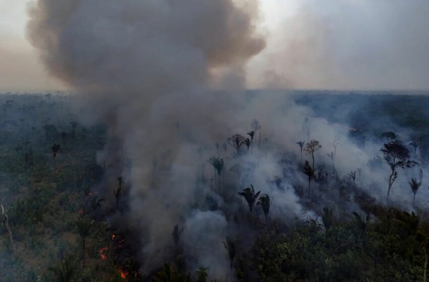  Estudio revela que la deforestación origina gran parte de la sequía en la Amazonía