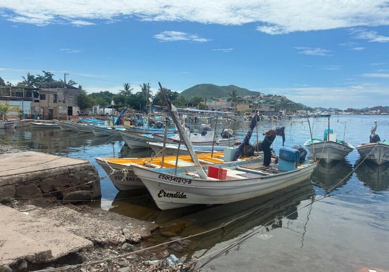 Pescadores esperan levantamiento de la veda de camarón en septiembre – Meganoticias