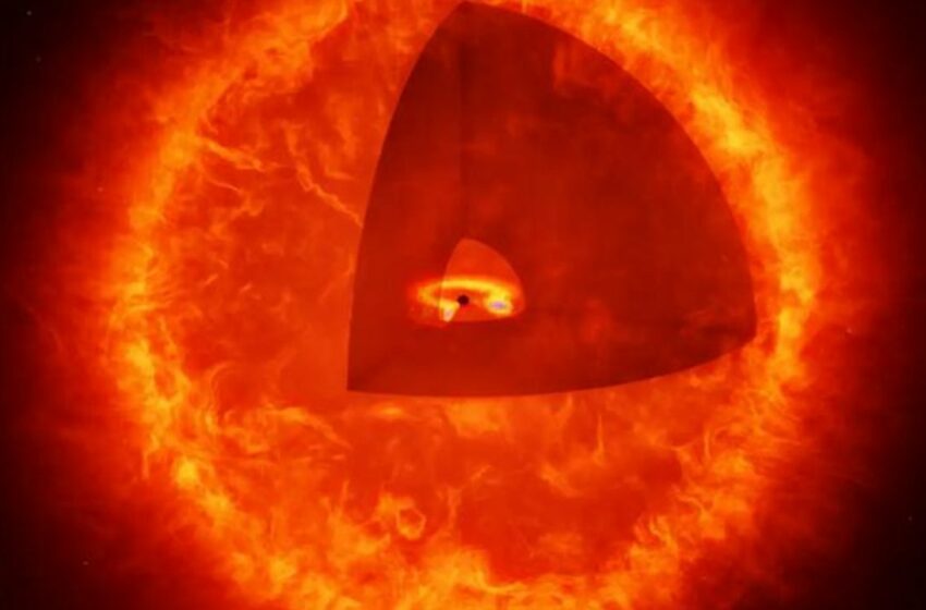  Descubren un nuevo objeto astronómico: una estrella de agujero negro