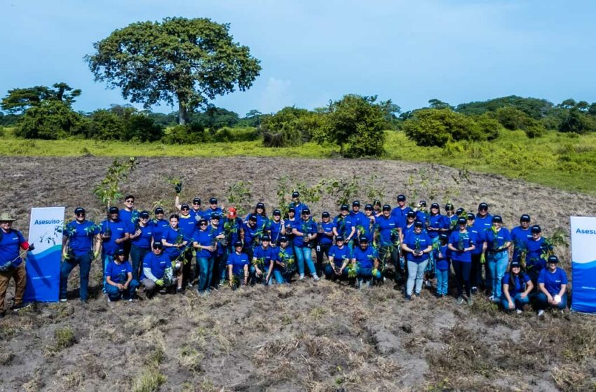 Asesuisa reafirma su compromiso con el medio ambiente